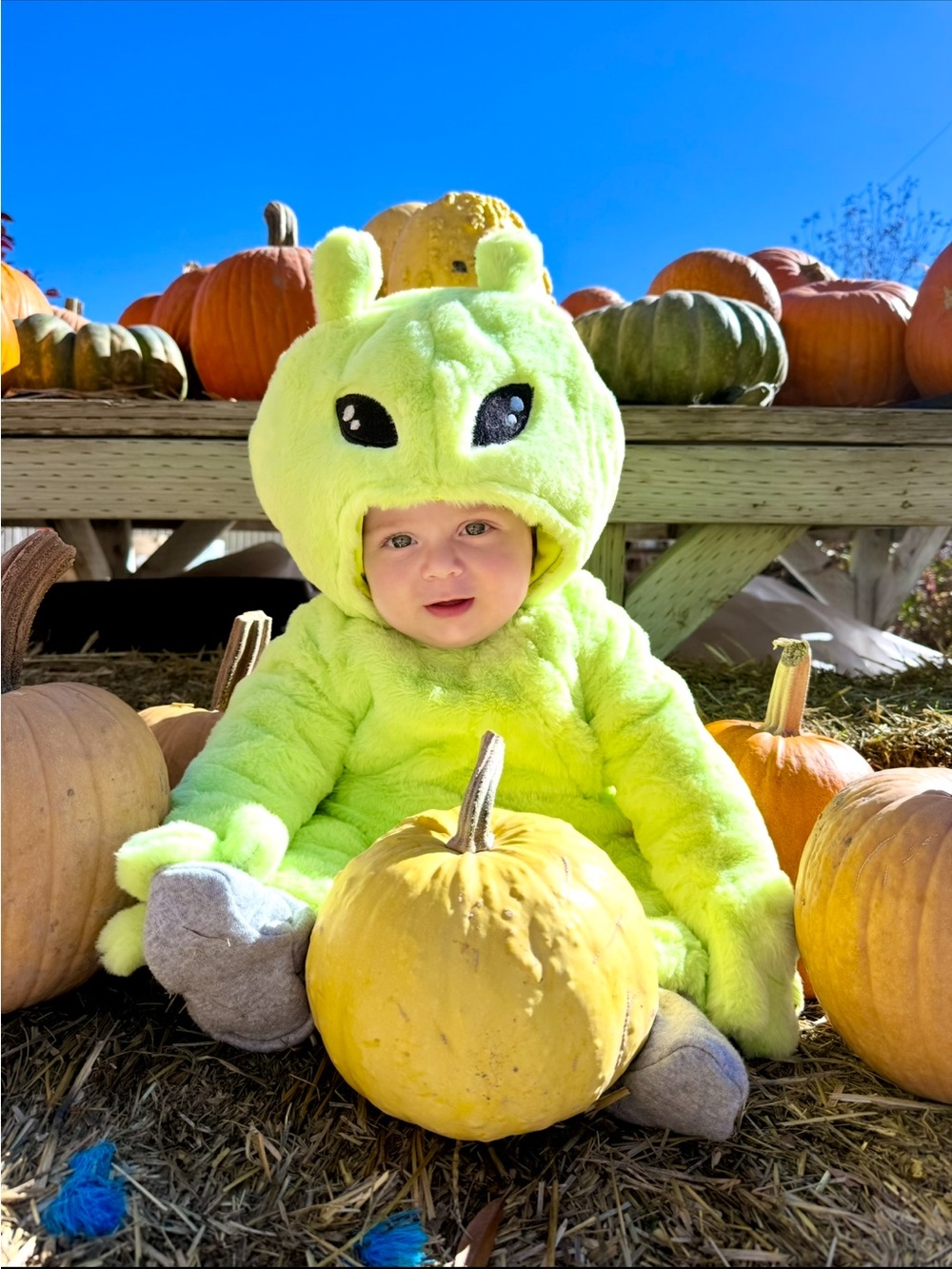 Pottery Barn Kids Green Alien Baby Halloween Costume - Picture 5 of 6